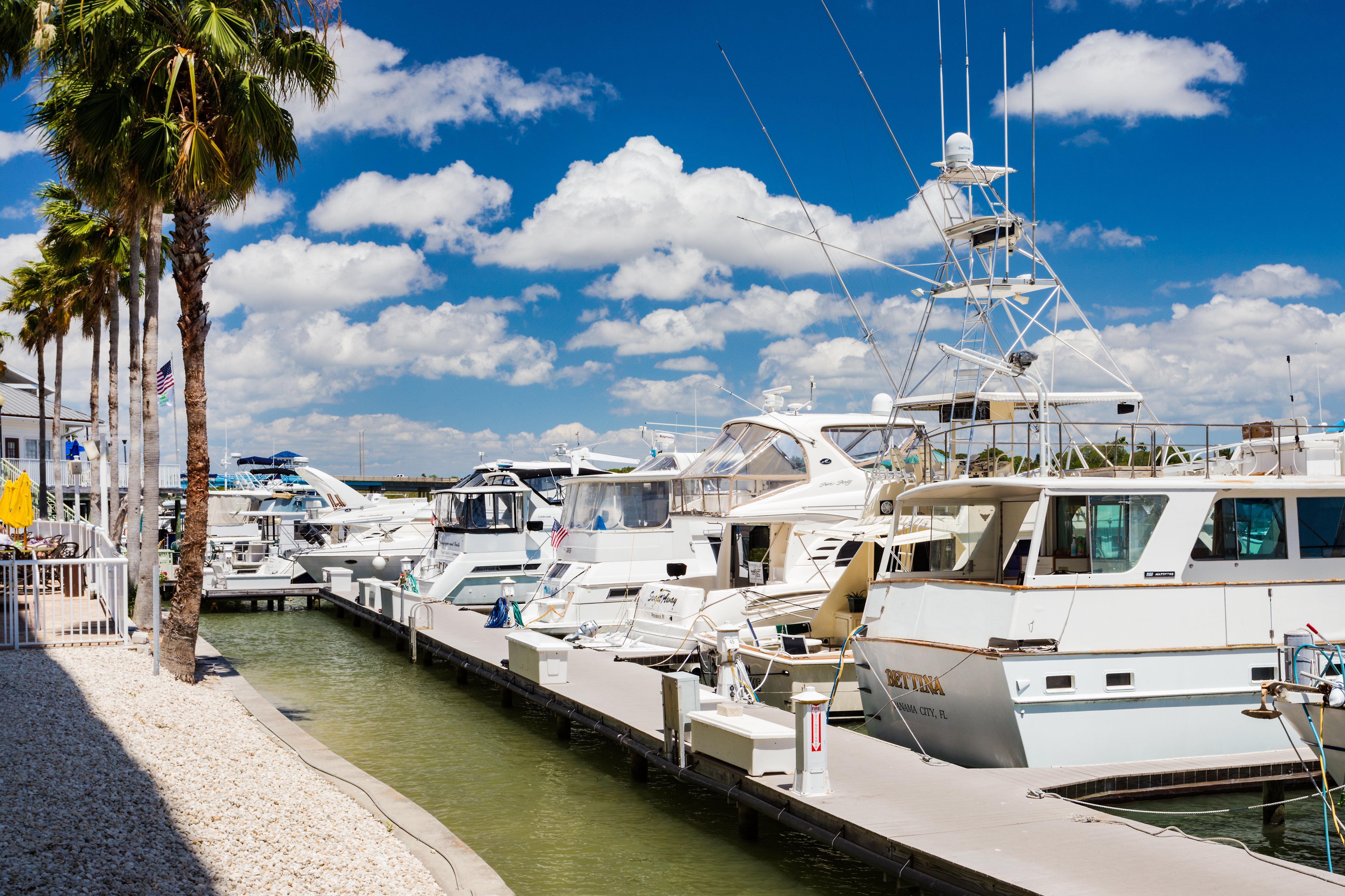 Holiday Inn & Suites Clearwater Beach S-Harbourside Dış mekan fotoğraf