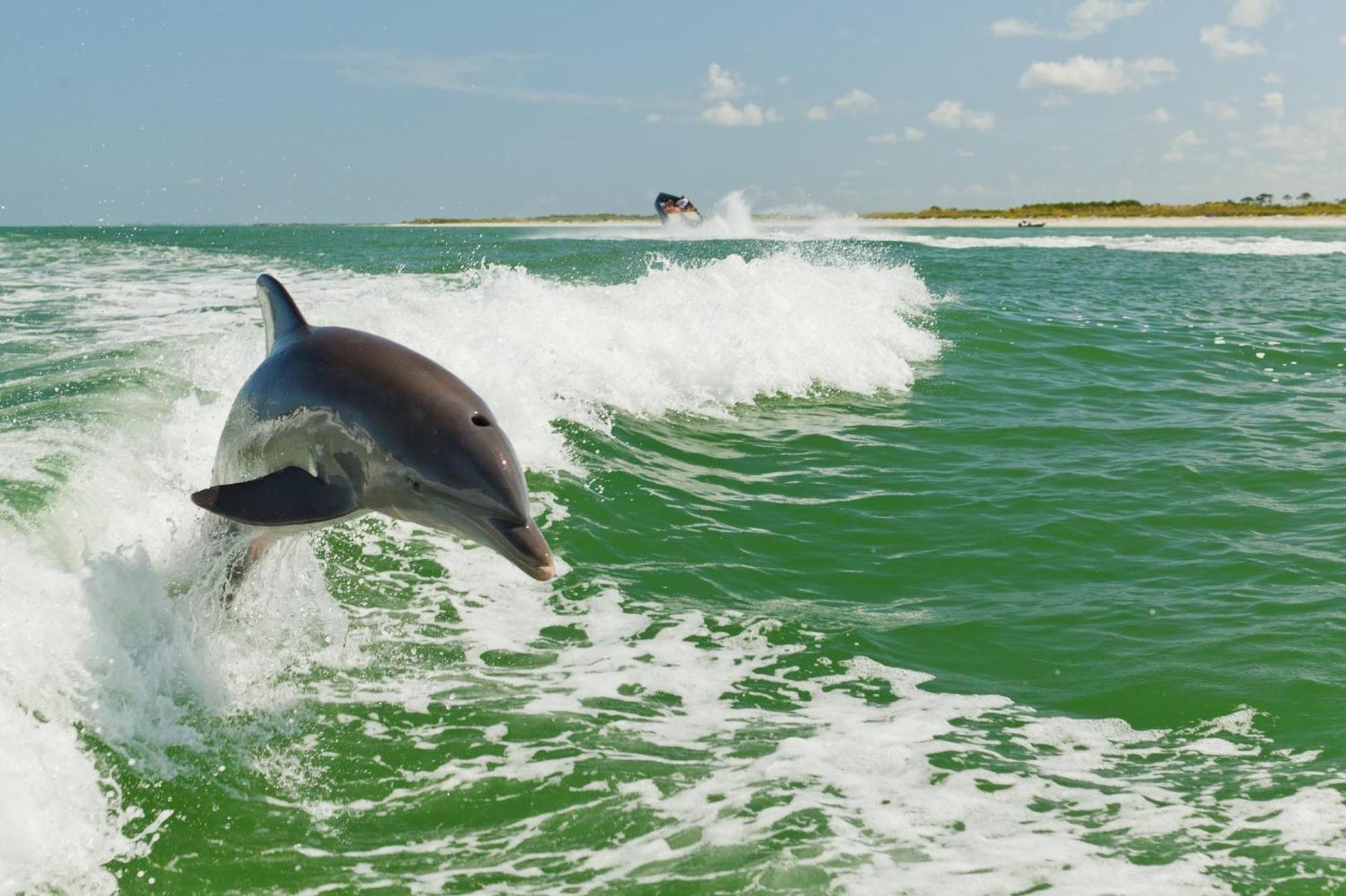 Holiday Inn & Suites Clearwater Beach S-Harbourside Dış mekan fotoğraf