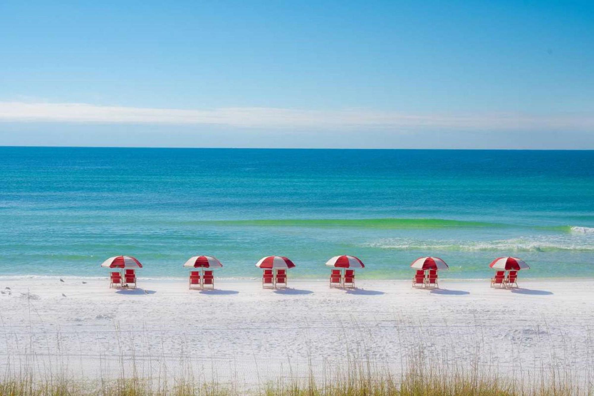 Holiday Inn & Suites Clearwater Beach S-Harbourside Dış mekan fotoğraf